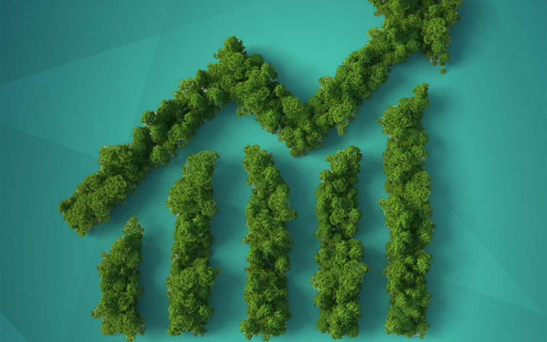 51% das empresas têm estratégia de sustentabilidade