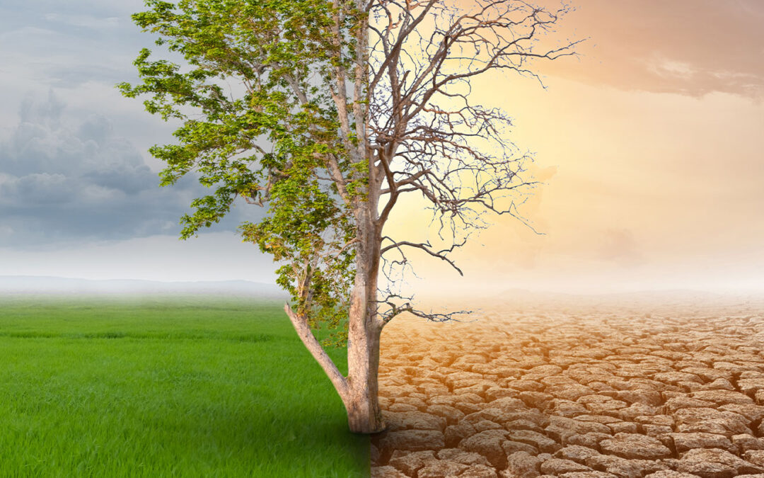 53% dos nordestinos esperam eventos climáticos extremos mais fortes