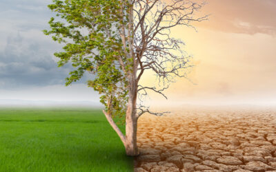 53% dos nordestinos esperam eventos climáticos extremos mais fortes