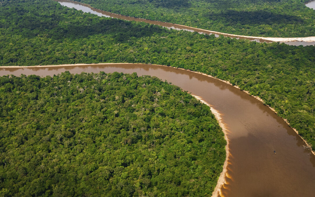69% dos brasileiros pedem leis ambientais mais rigorosas