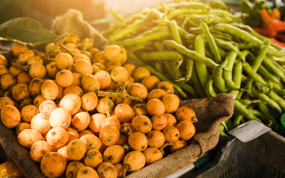 População reconhece Brasil como protagonista na produção global de alimentos