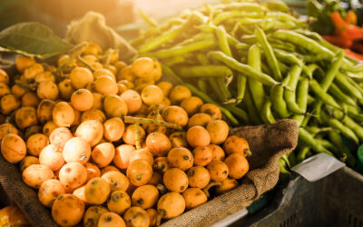 População reconhece Brasil como protagonista na produção global de alimentos