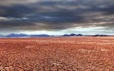 Temor por “Super El Niño” faz buscas explodirem e eleva cobrança sobre autoridades, aponta levantamento da Nexus