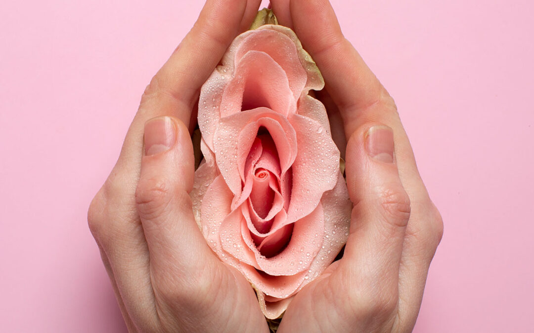 Setembro em Flor: hábitos de saúde entram na conversa sobre prevenção dos tumores ginecológicos
